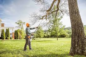 Best Hazardous Tree Removal  in Marshalltown, IA